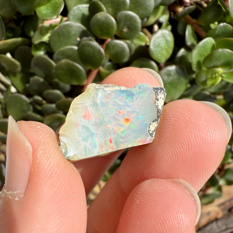 Opal - 14 Carats Natural Rough