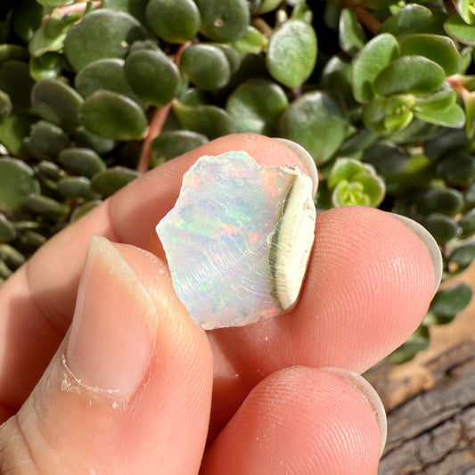 Opal - 6.7 Carats Natural Rough