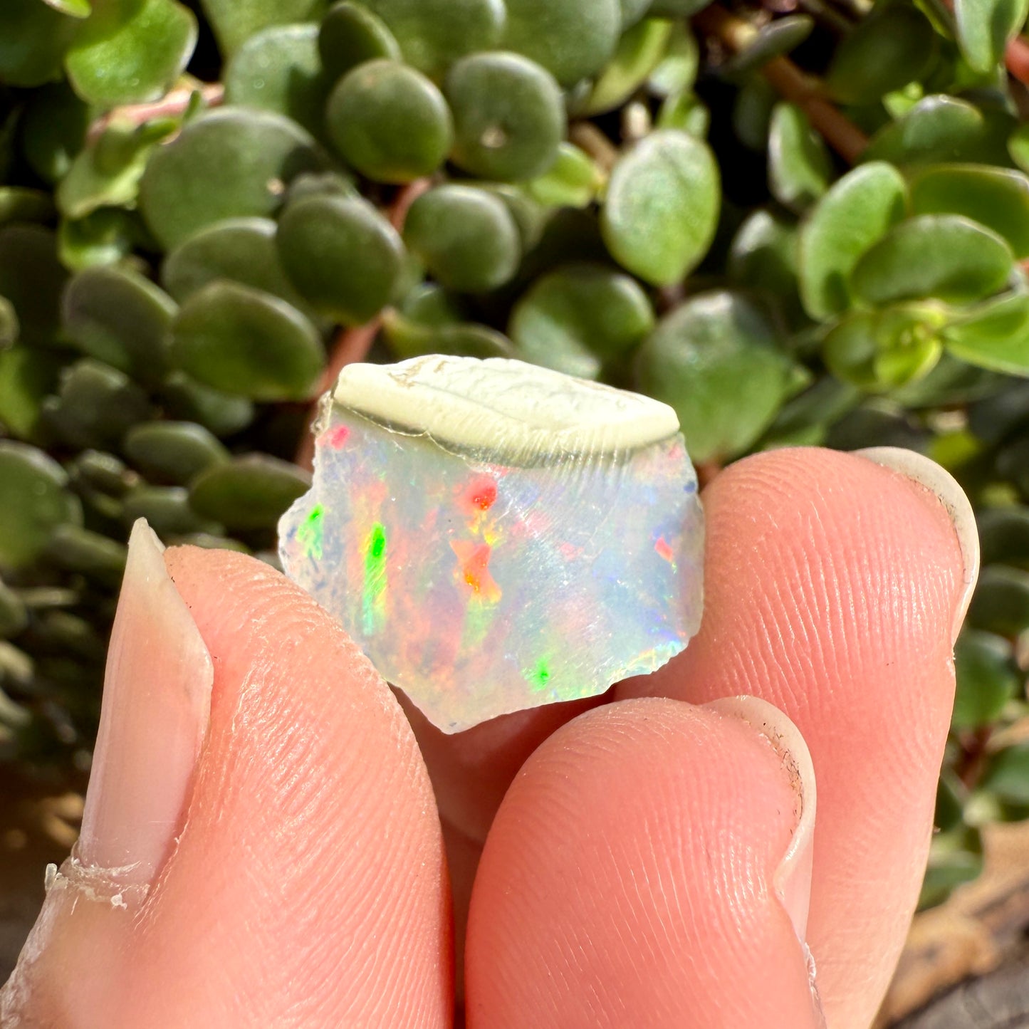 Opal - 6.7 Carats Natural Rough