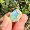 Opal - 11.9 Carats Natural Rough