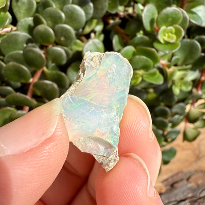 Opal - 9 Carats Natural Rough