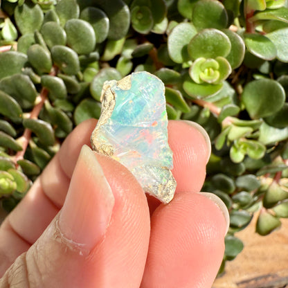 Opal - 9 Carats Natural Rough