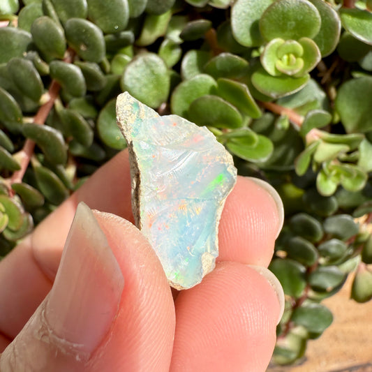Opal - 9 Carats Natural Rough