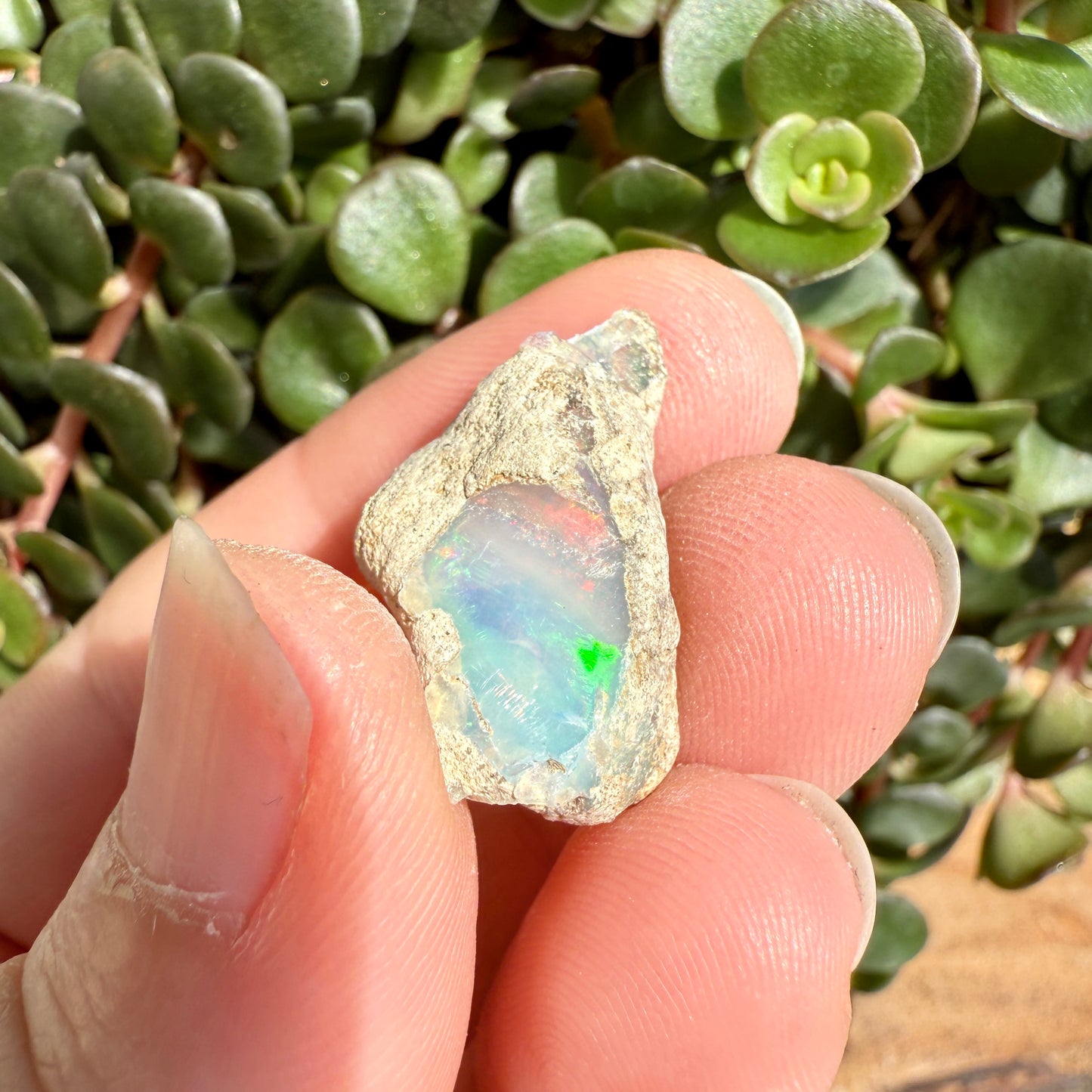 Opal - 9 Carats Natural Rough