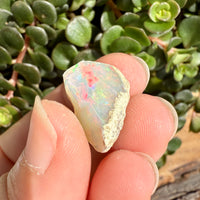 Opal - 9.3 Carats Natural Rough