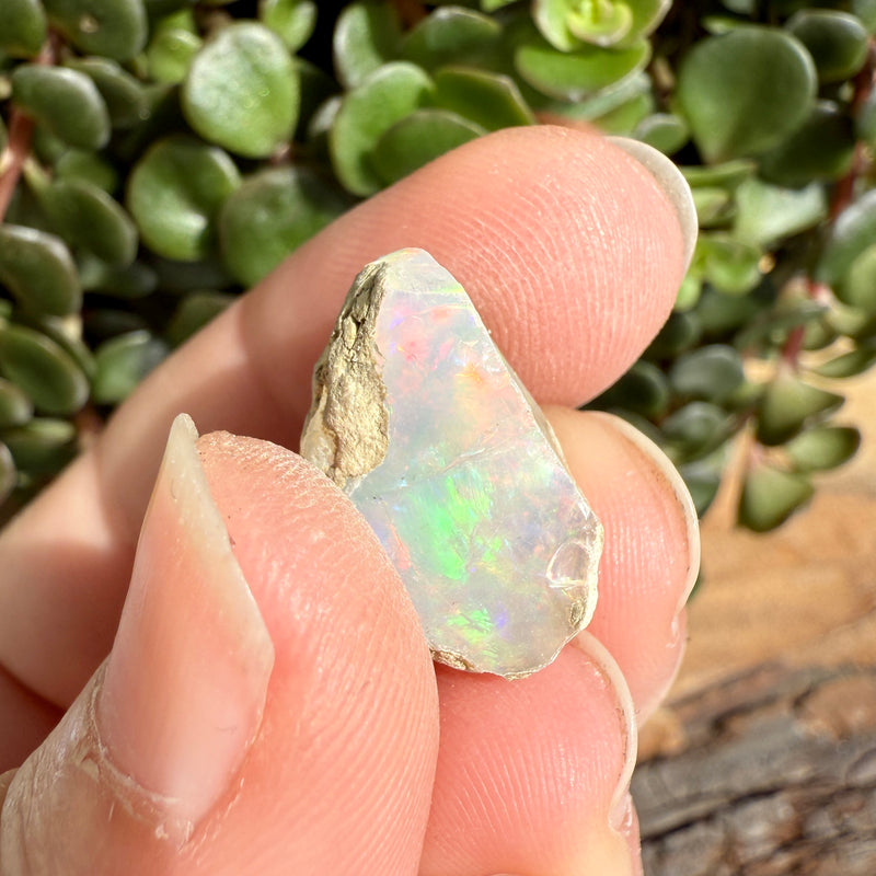 Opal - 9.3 Carats Natural Rough