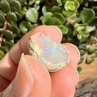 Opal - 9.3 Carats Natural Rough