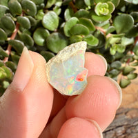 Opal - 9.3 Carats Natural Rough