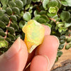 Opal - 11.5 Carats Natural Rough