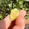 Opal - 11.5 Carats Natural Rough
