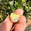 Opal - 11.5 Carats Natural Rough