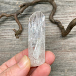 Danburite Crystal - 14