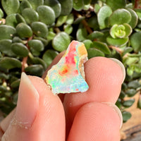 Opal - 4 Carats Natural Rough