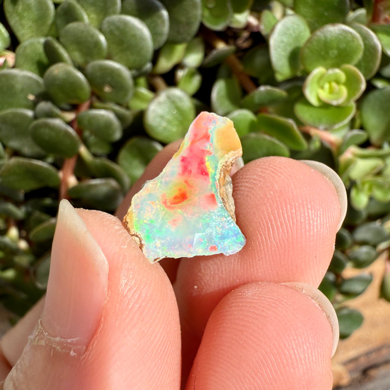 Opal - 4 Carats Natural Rough
