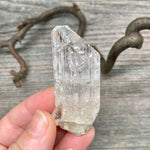 Danburite Crystal - 15