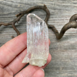 Danburite Crystal - 15