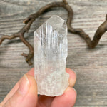 Danburite Crystal - 19