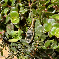 Tibetan Quartz Crystal Pendant