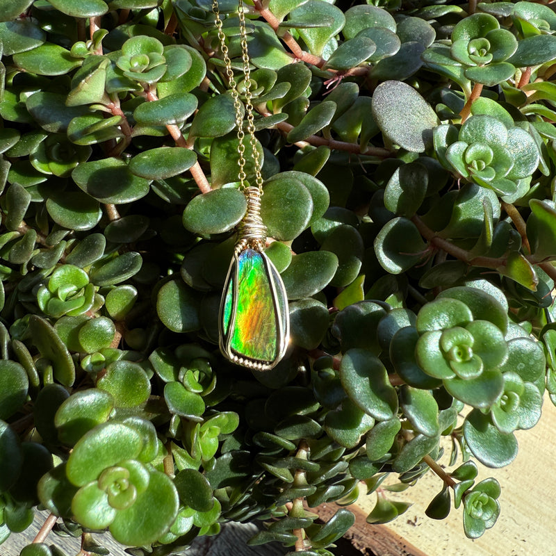Ammolite Pendant