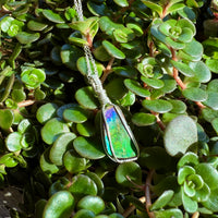 Ammolite Pendant