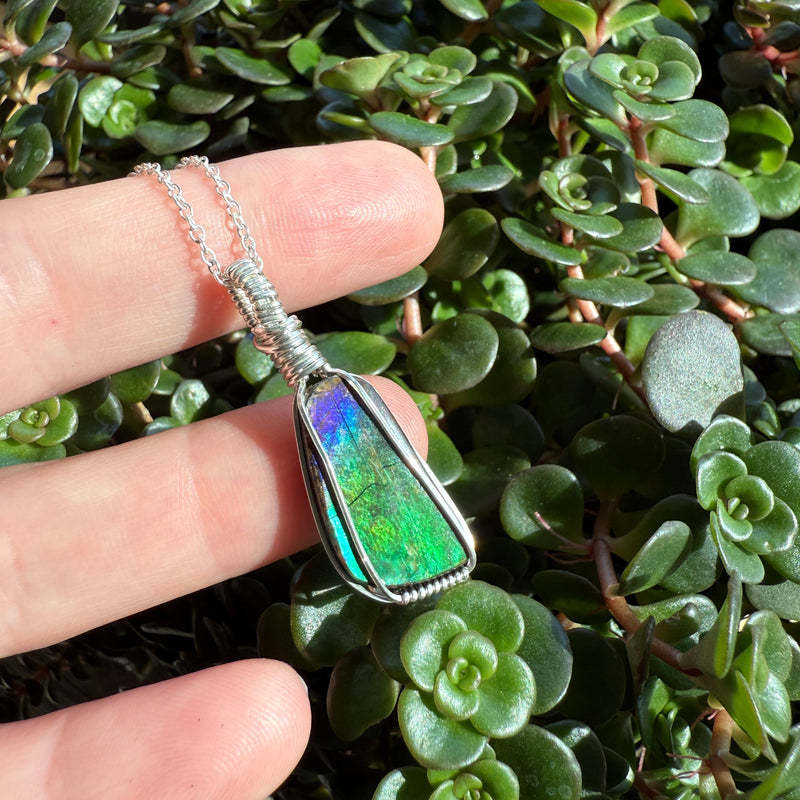 Ammolite Pendant