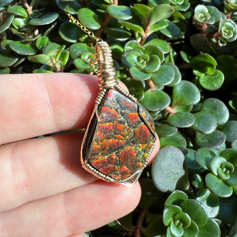 Ammolite Pendant - Imperial Double Sided