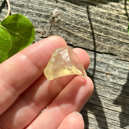 Libyan Gold Tektite - 3