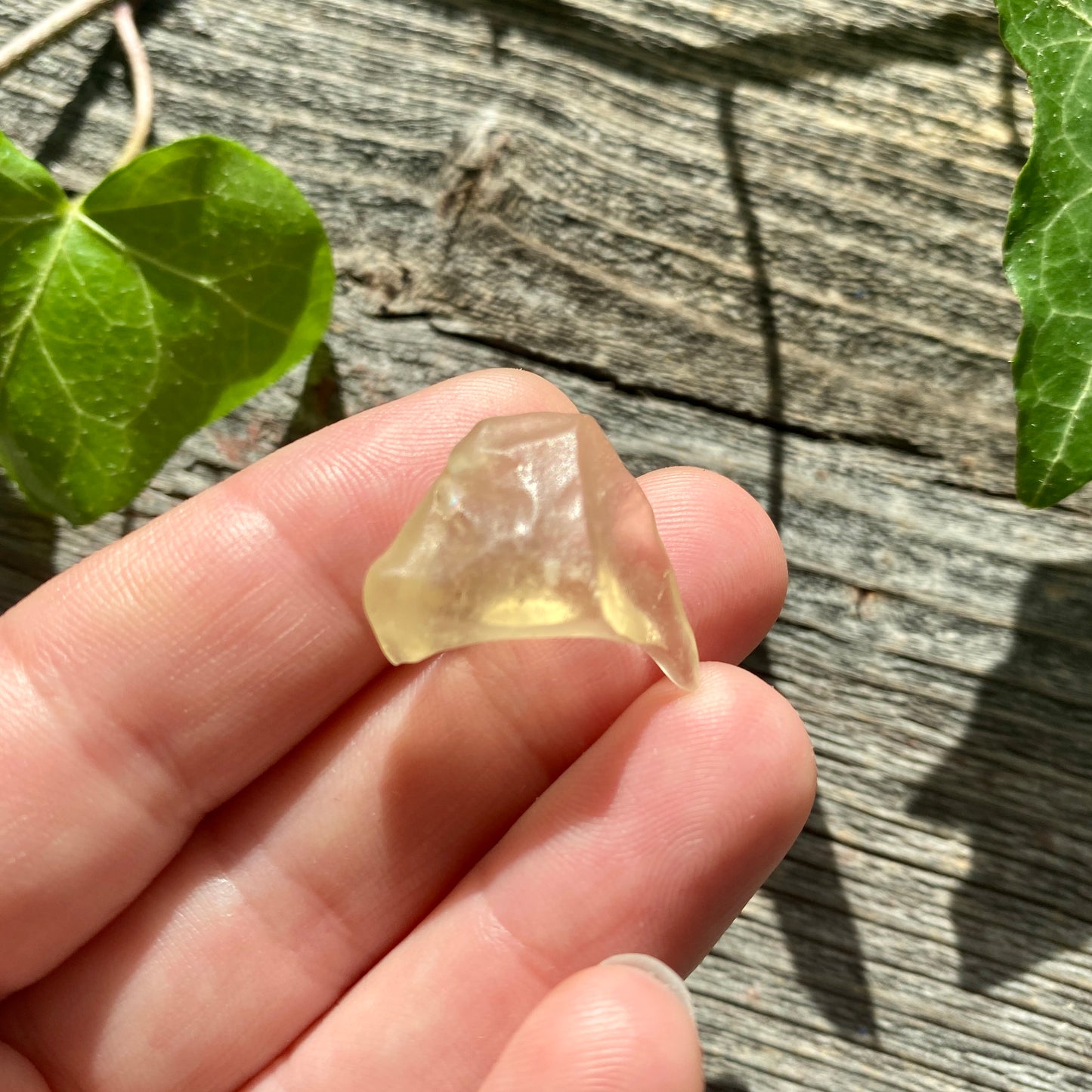 Libyan Gold Tektite - 3