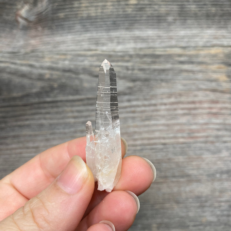 Lemurian Quartz Crystal - 195