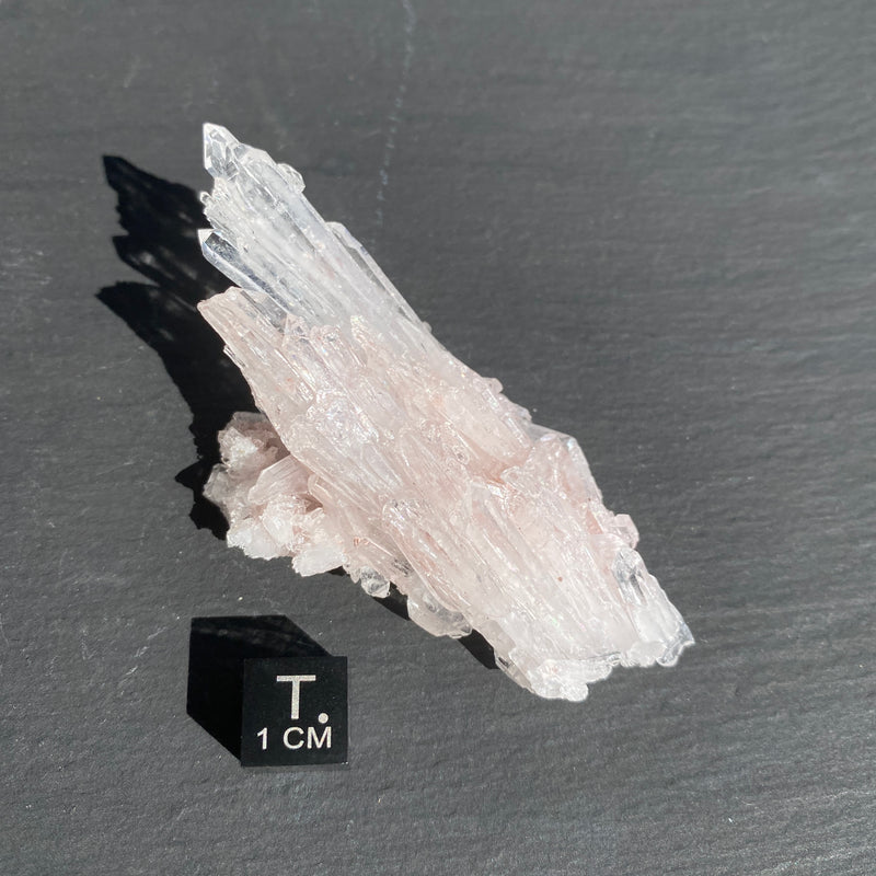 Pink Lemurian Quartz Cluster - 16