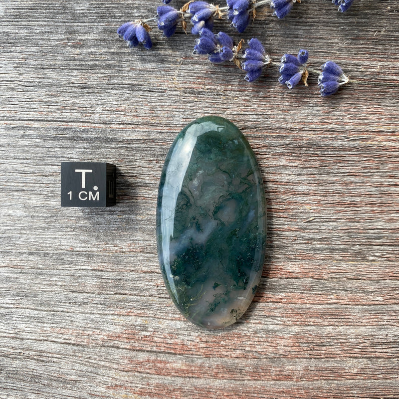 Moss Agate Cabochon - 27