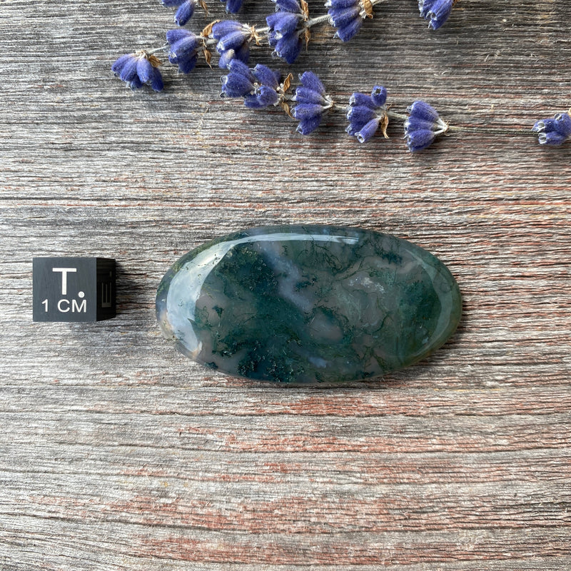Moss Agate Cabochon - 27
