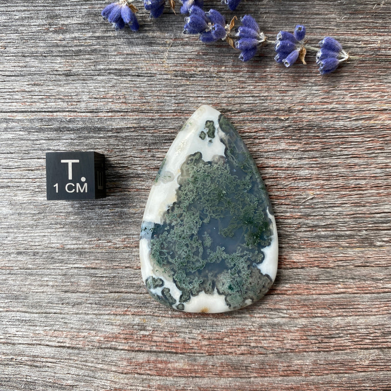 Moss Agate Cabochon - 24