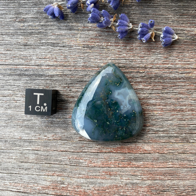 Moss Agate Cabochon - 6