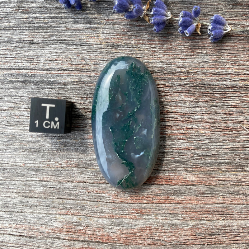 Moss Agate Cabochon - 10