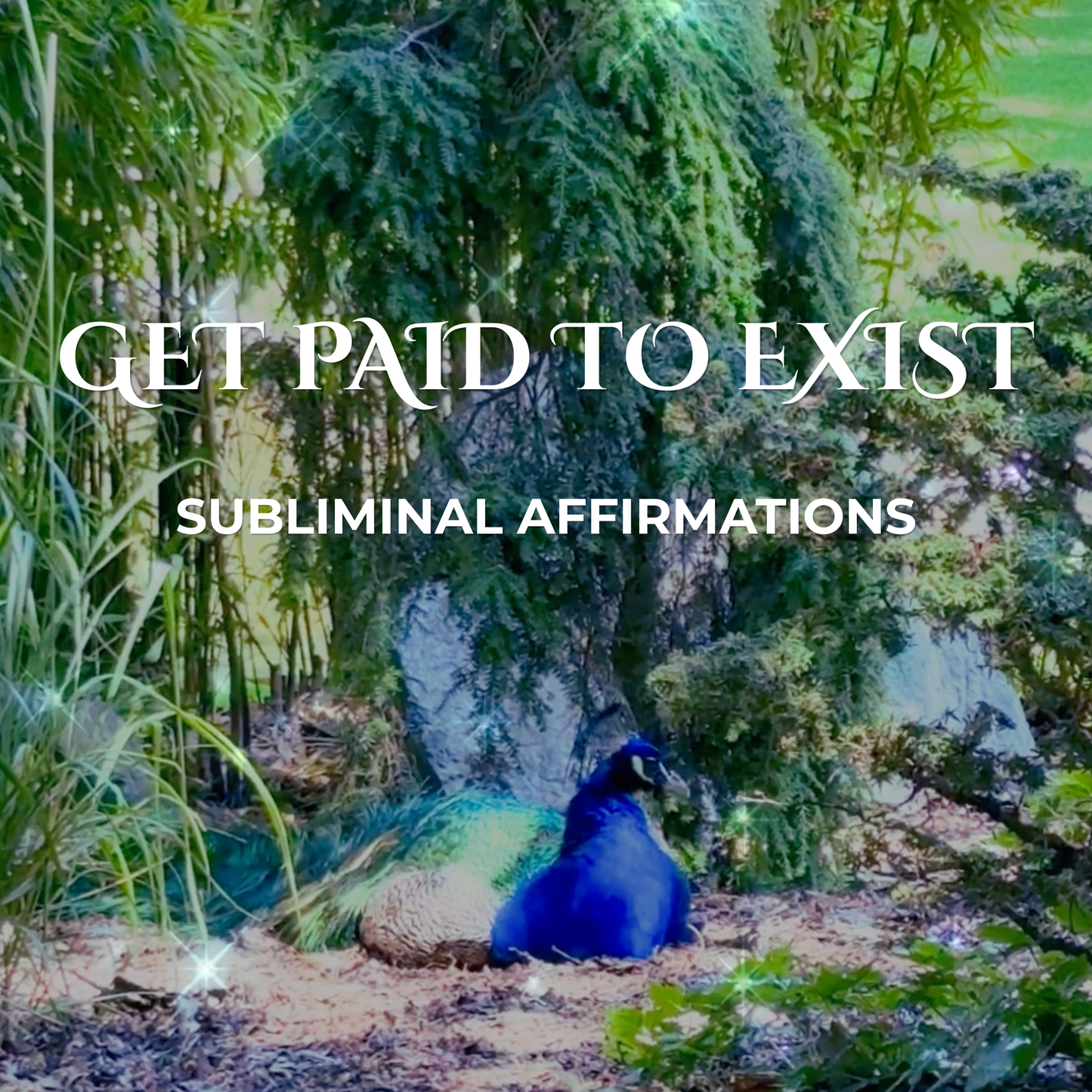Get Paid to Exist / Paid To Be Yourself / Receive Effortless Money / Align With Abundance / Subliminal Affirmations