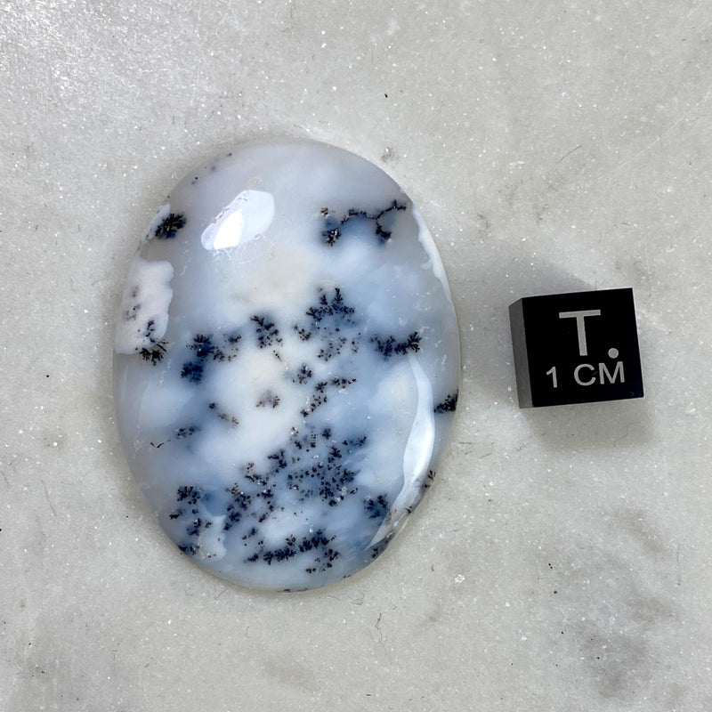 Dendritic Agate Cabochon - 4