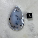 Dendritic Agate Cabochon - 8