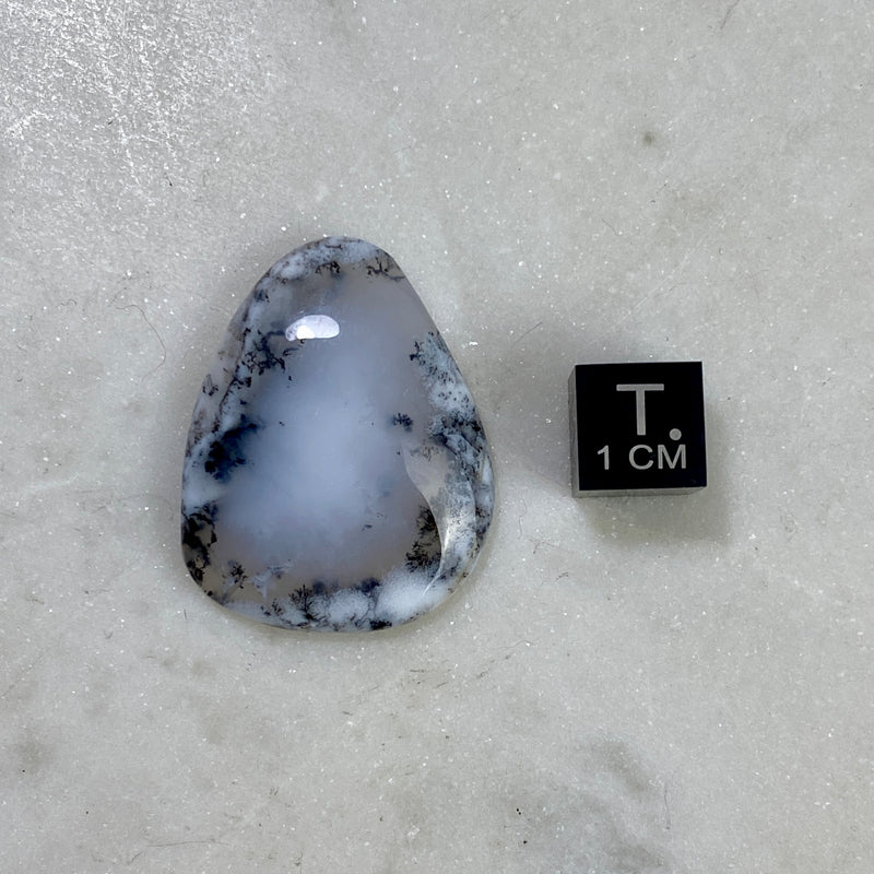 Dendritic Agate Cabochon - 12