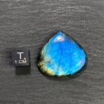 Labradorite Cabochon - 40