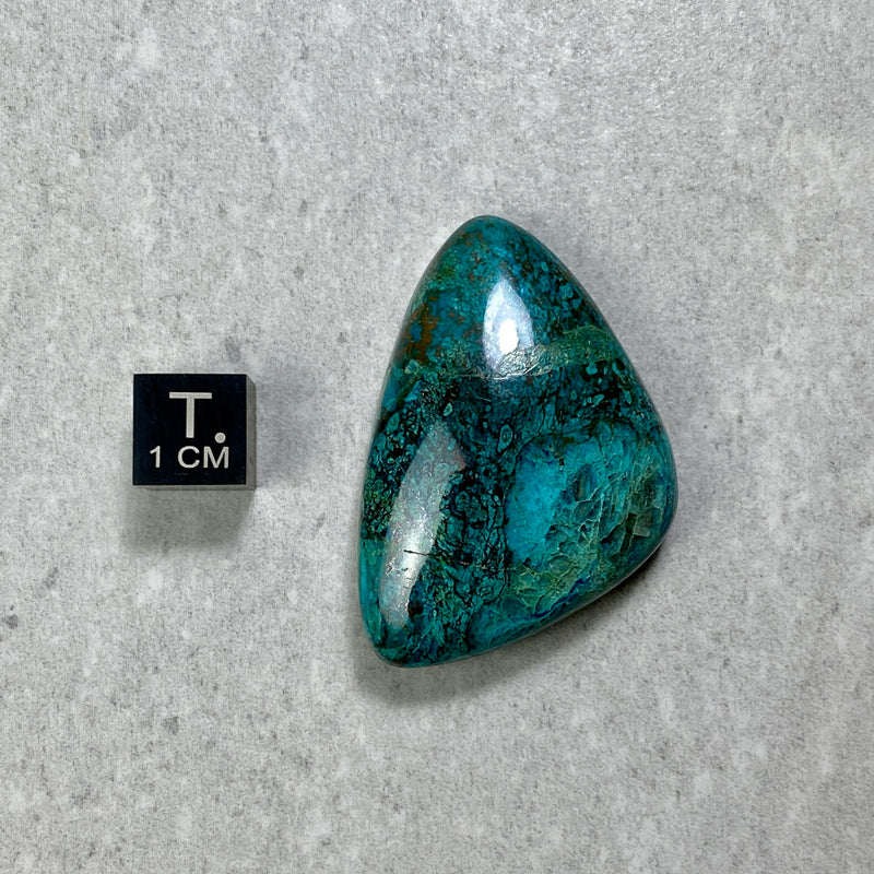 Chrysocolla Cabochon - 19