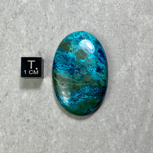 Chrysocolla Cabochon - 20