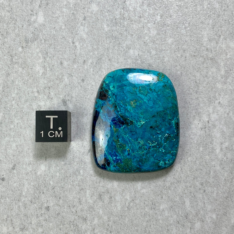Chrysocolla Cabochon - 23