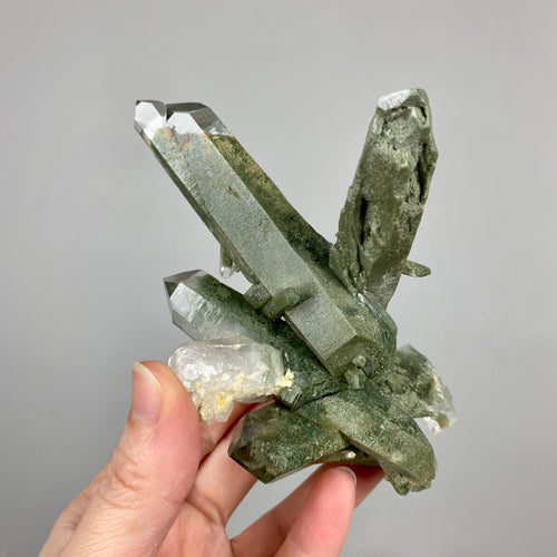 Chlorite Phantom Quartz Crystal Cluster - 4
