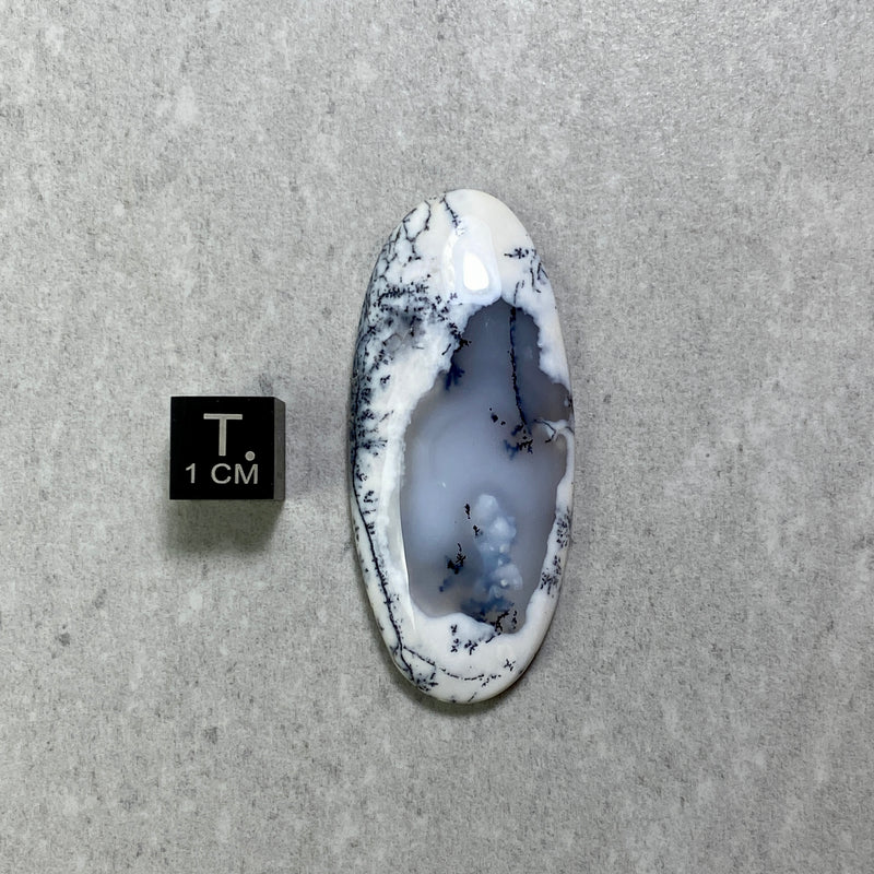 Dendritic Agate Cabochon - 28