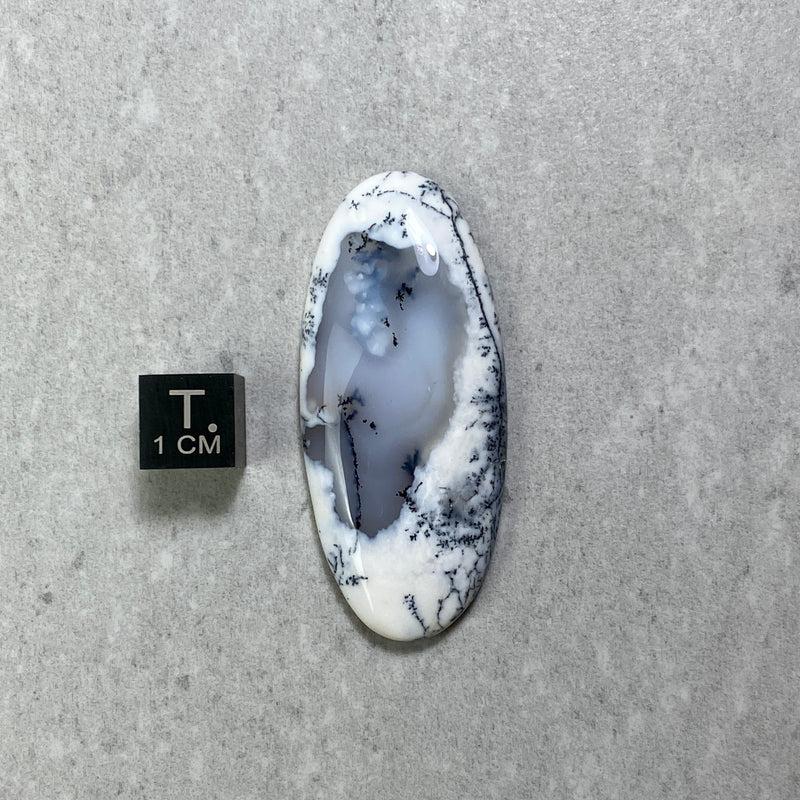 Dendritic Agate Cabochon - 28