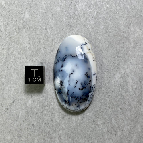 Dendritic Agate Cabochon - 29