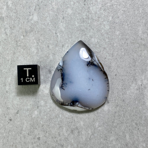 Dendritic Agate Cabochon - 32