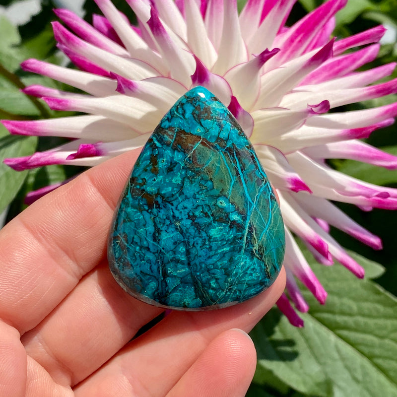 Chrysocolla Cabochon - 8