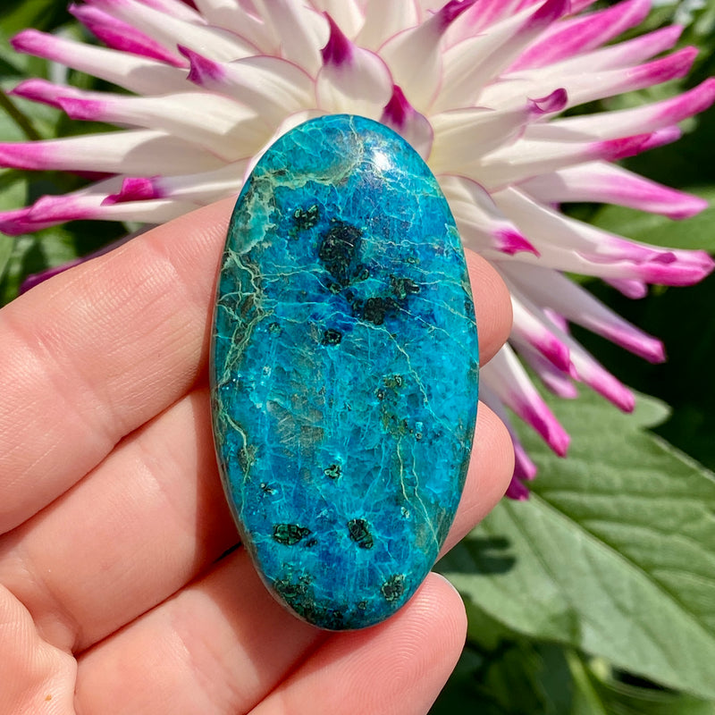 Chrysocolla Cabochon - 13
